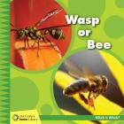 Wasp or Bee By Tamra Orr Cover Image