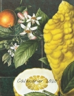 Calendrier 2020: Calendrier mensuel 2020 illustré de fruit avec une grande image et des dates de calendrier, des espaces pour enregistr By Farmer Market Calendar Journal Cover Image