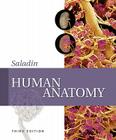 Human Anatomy [With Access Code] By Kenneth S. Saladin Cover Image