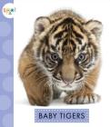 Baby Tigers (Spot Baby Animals) By K. C. Kelley Cover Image