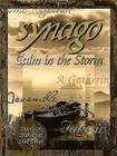 Synago Calm in the Storm Leader: Student Led Senior High Cell Group Cover Image
