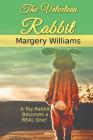 The Velveteen Rabbit (Children's Classics #10) By Margery Williams Cover Image
