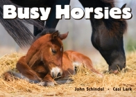 Busy Horsies (A Busy Book) By John Schindel, Casi Lark (Photographs by) Cover Image