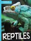 Reptiles (Animal Classification) By Steffi Cavell-Clarke Cover Image
