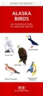 Rocky Mountain Birds: An Introduction to Familiar Species (Pocket Naturalist Guide) Cover Image
