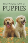 The Picture Book of Puppies: A Gift Book for Alzheimer's Patients and Seniors with Dementia By Sunny Street Books Cover Image