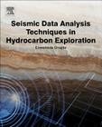 Seismic Data Analysis Techniques in Hydrocarbon Exploration By Enwenode Onajite Cover Image