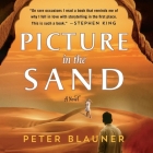 Picture in the Sand Cover Image