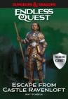 Dungeons & Dragons: Escape from Castle Ravenloft: An Endless Quest Book By Matt Forbeck, Various (Illustrator) Cover Image