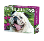 Bulldogs 2024 6.2 X 5.4 Box Calendar By Willow Creek Press Cover Image