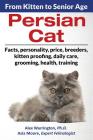 Persian Cat: From Kitten to Senior Age By Alex Warrington, Asia Moore Cover Image