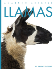 Llamas (Amazing Animals) By Valerie Bodden Cover Image