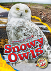 Snowy Owls (Animals at Risk) Cover Image