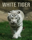 White Tiger: Fascinating White Tiger Facts for Kids with Stunning Pictures! By Joe Murphy Cover Image