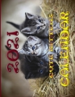 2021 Cute Kittens Calendar: 12 months Of Great Pussy pics By Manfred James Cover Image