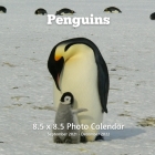 Penguins 8.5 X 8.5 Calendar September 2021 -December 2022: Monthly Calendar with U.S./UK/ Canadian/Christian/Jewish/Muslim Holidays-Bird Animal Nature By Lynne Book Press Cover Image