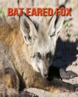 Bat Eared Fox: Fun Learning Facts About Bat Eared Fox By Trina Devlin Cover Image