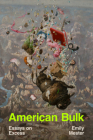 American Bulk: Essays on Excess Cover Image