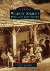 Wilhoit Springs: Molalla's Lost Resort (Images of America) By Judith Sanders Chapman, Lois E. Helvey Ray Cover Image