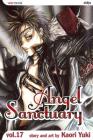 Angel Sanctuary, Vol. 17 By Kaori Yuki Cover Image