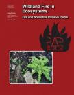 Wildland Fire in Ecosystems: Fire and Nonnative Invasive Plants By Forest Service, U. S. Department of Agriculture Cover Image