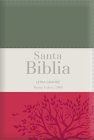 Biblia Rvr60 Letra Grande - Tamaño Manual / Tricolor: Gris/Crema/Rojo Con Indice Y Cierre (Bible Rvr60 Lp/Pocket Size - Tricolor: Grey/Cream/Red with Cover Image
