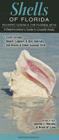 Shells of Florida-Atlantic Ocean & Florida Keys: A Beachcomber's Guide to Coastal Areas Cover Image