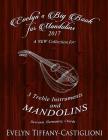 Evelyn's Big Book for Mandolins 2017: A Collection of Tunes for 3 Mandolins Cover Image
