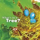 What's in a Tree? (What's in There?) By Martha E. H. Rustad Cover Image