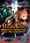 Magic User: Reborn in Another World as a Max Level Wizard (Light Novel) Vol. 3 Cover Image