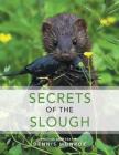 Secrets of the Slough By Dennis Monroe Cover Image