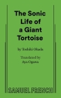 A Sonic Life of a Giant Tortoise By Toshiki Okada, Aya Ogawa (Translator) Cover Image