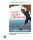 Human Anatomy & Physiology By Erin Amerman Cover Image