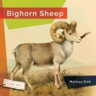 Bighorn Sheep By Melissa Gish Cover Image