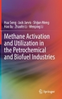 Methane Activation and Utilization in the Petrochemical and Biofuel Industries Cover Image