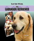 Labrador Retriever Cover Image