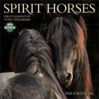 Spirit Horses 2024 Wall Calendar: By Tony Stromberg By Amber Lotus Publishing (Created by) Cover Image