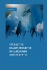 The Rise: The reason behind the inflation in US (United State) Cover Image