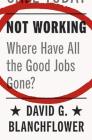 Not Working: Where Have All the Good Jobs Gone? By David G. Blanchflower Cover Image
