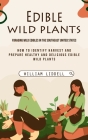 Edible Wild Plants: Foraging Wild Edibles in the Southeast United States (How to Identify Harvest and Prepare Healthy and Delicious Edible By William Liddell Cover Image