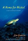 A Home for Nickel: A Sea Turtle's Story By Jim Gamlin Cover Image