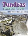 Tundras Inside Out (Ecosystems Inside Out) By James Bow Cover Image