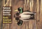National Audubon Society Pocket Guide: North American Waterfowl (National Audubon Society Pocket Guides) Cover Image