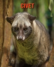 Civet: Beautiful Pictures & Interesting Facts Children Book About Civet By Katie Mercer Cover Image