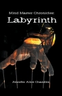 Mind Master Chronicles: Labyrinth Cover Image