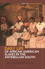 Daily Life of African American Slaves in the Antebellum South (Greenwood Press Daily Life Through History) By Paul Teed, Melissa Teed Cover Image