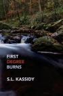 First Degree Burns By S. L. Kassidy Cover Image