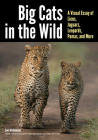 Big Cats in the Wild: A Visual Essay of Lions, Jaguars, Leopards, Pumas, and More Cover Image