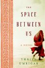 The Space Between Us Cover Image