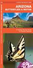 Arizona Butterflies & Moths: A Folding Pocket Guide to Familiar Species (Pocket Naturalist Guides) By James Kavanagh, Raymond Leung (Illustrator) Cover Image